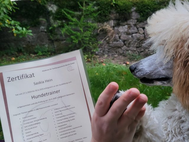 Abschluss der Hundetrainerausbildung