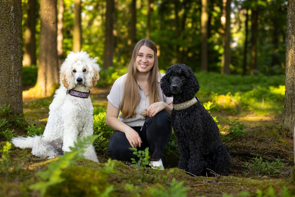 Großpudel von de Fabellocke. Saskia Nickel mit Pudelhündinnen Freki und Karamella
